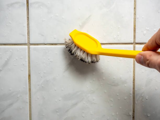 Best Mold Cleaning Services  in Dunlap, IL