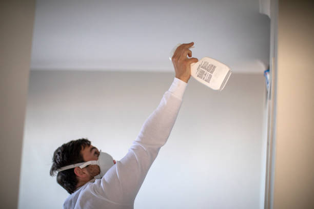 Best Mold Testing  in Dunlap, IL