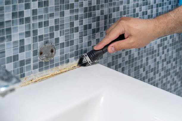 Best Mold Remediation  in Dunlap, IL