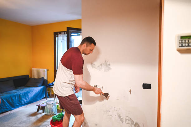 Best Black Mold Removal  in Dunlap, IL